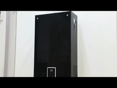 जबरदस्ती निकास गैस पानी हीटर की उपस्थिति