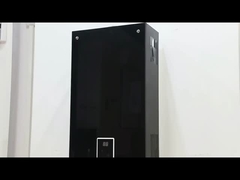 10L 2.6GPM वाटर हीटर ब्लैक कोटिंग पैनल एलपीजी एनजी गैस प्रकार