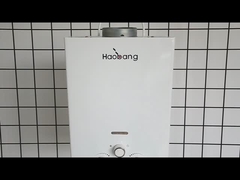 10L 2.6GPM वाटर हीटर ब्लैक कोटिंग पैनल एलपीजी एनजी गैस प्रकार