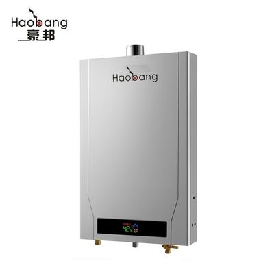 High Energy Efficiency Thermostat Constant Temperature App-Controlled Flue Gas Water Heater and LPG Water Heater