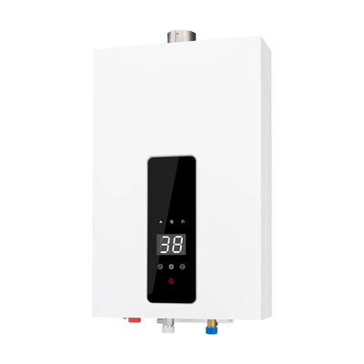 Instant Tankless Forced Exhaust Gas Water Heater Featuring 60 MM Flue Size and Homeland Function for Heating Performance