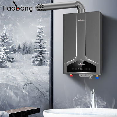 110V-220V इलेक्ट्रिकल वोल्टेज संतुलित फ्लू वॉटर हीटर के साथ बुद्धिमान प्रकार और ऑक्सीजन मुक्त तांबा हीट एक्सचेंजर